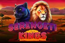 netent image
