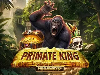 pp image