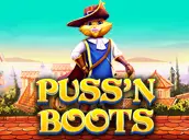 pp image