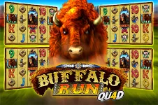 Buffalo Run Quad